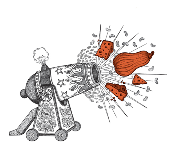 Toms pies illustrated graphic, canon firing cheese and sweetpotato