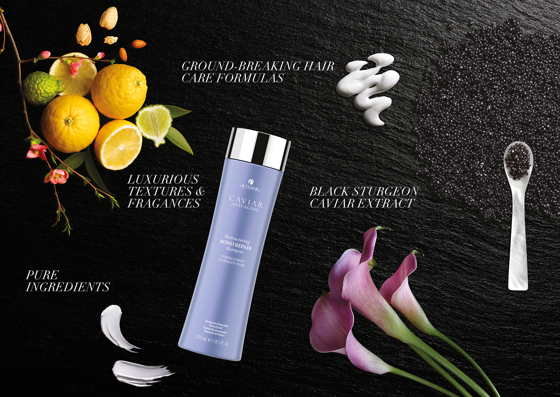 Alterna Exhibition graphic design