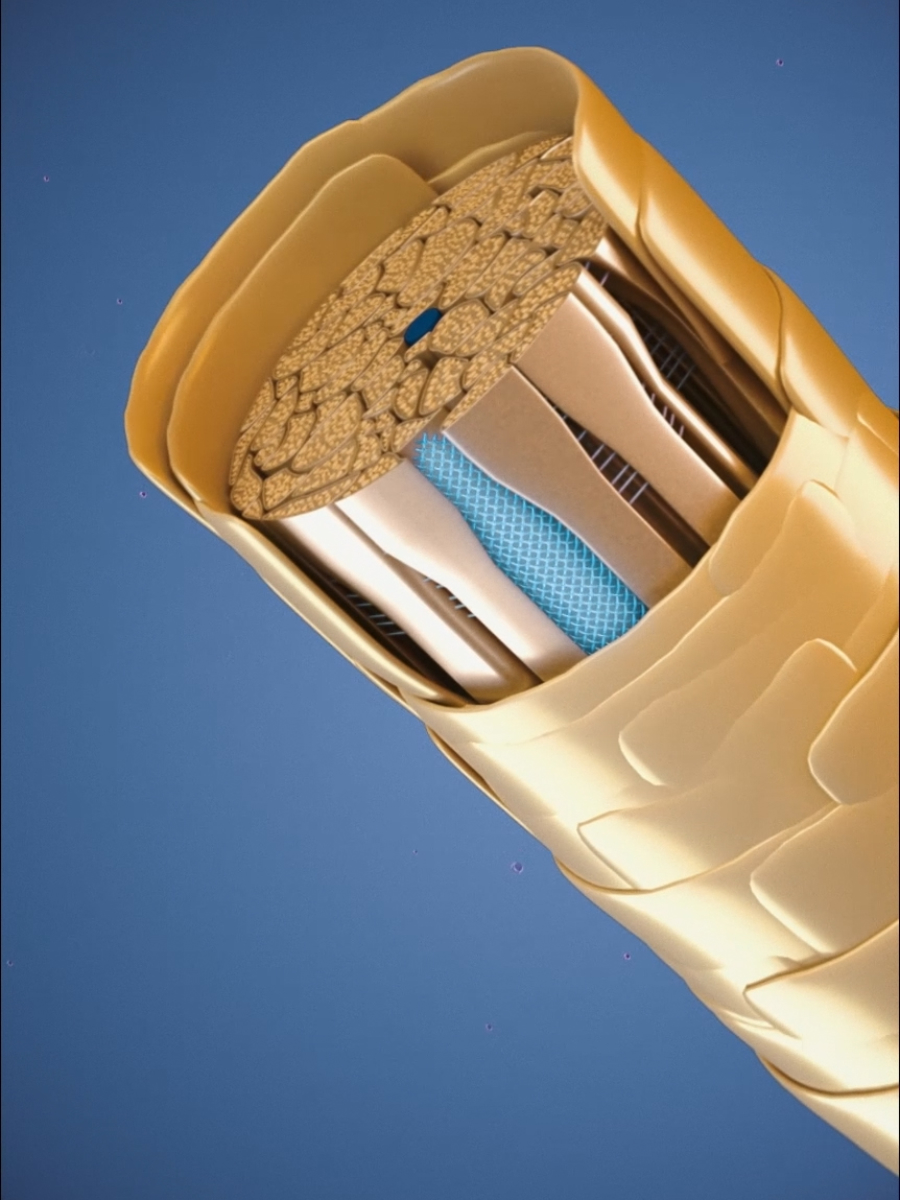 Alterna 3D Hair Technical