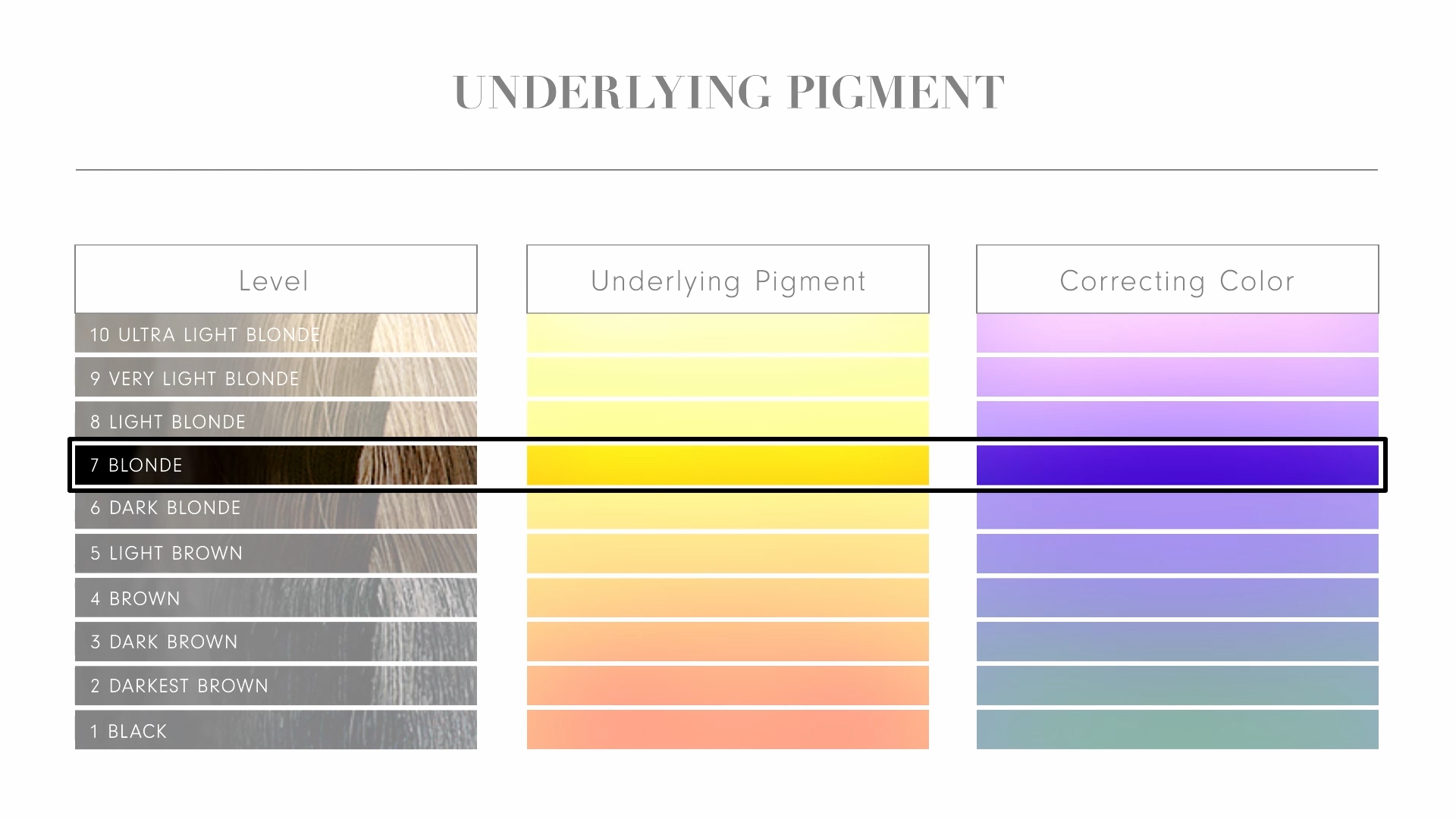 Pravana #39 s Colour Certification Platform Prospekt Agency Pravana #39 s Colour Certification Platform Prospekt Agency