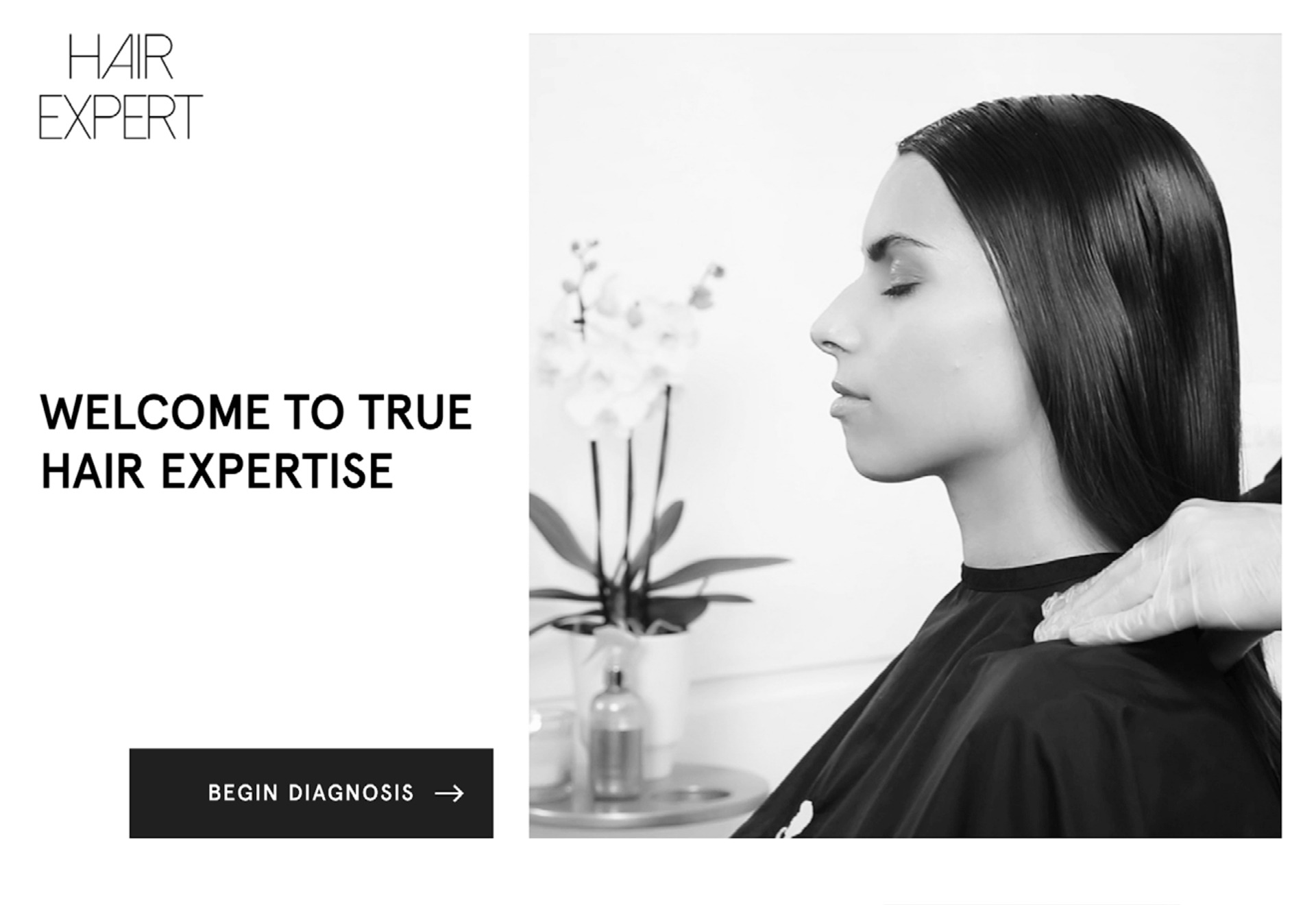 Hair Expert Product Advisor Website and Application Development