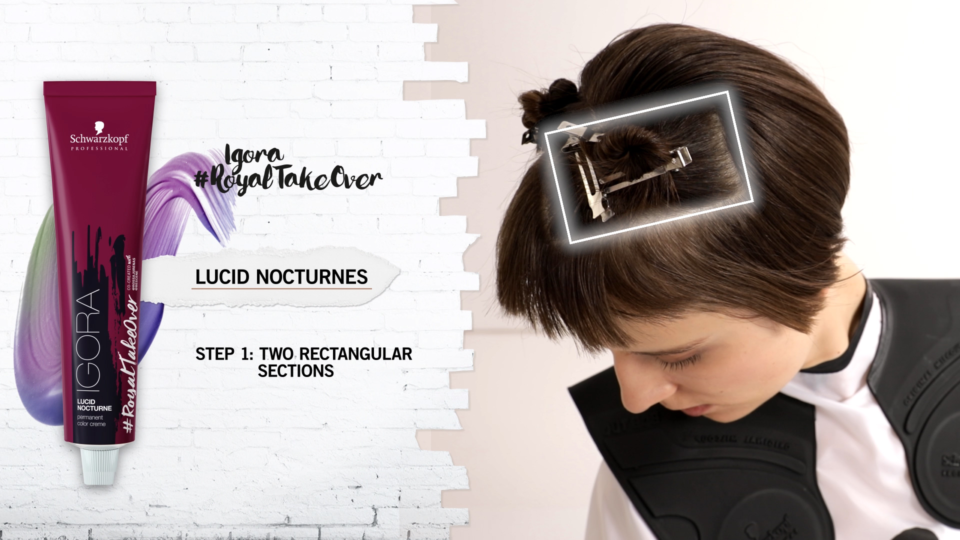 Igora Royal Takeover educational graphic