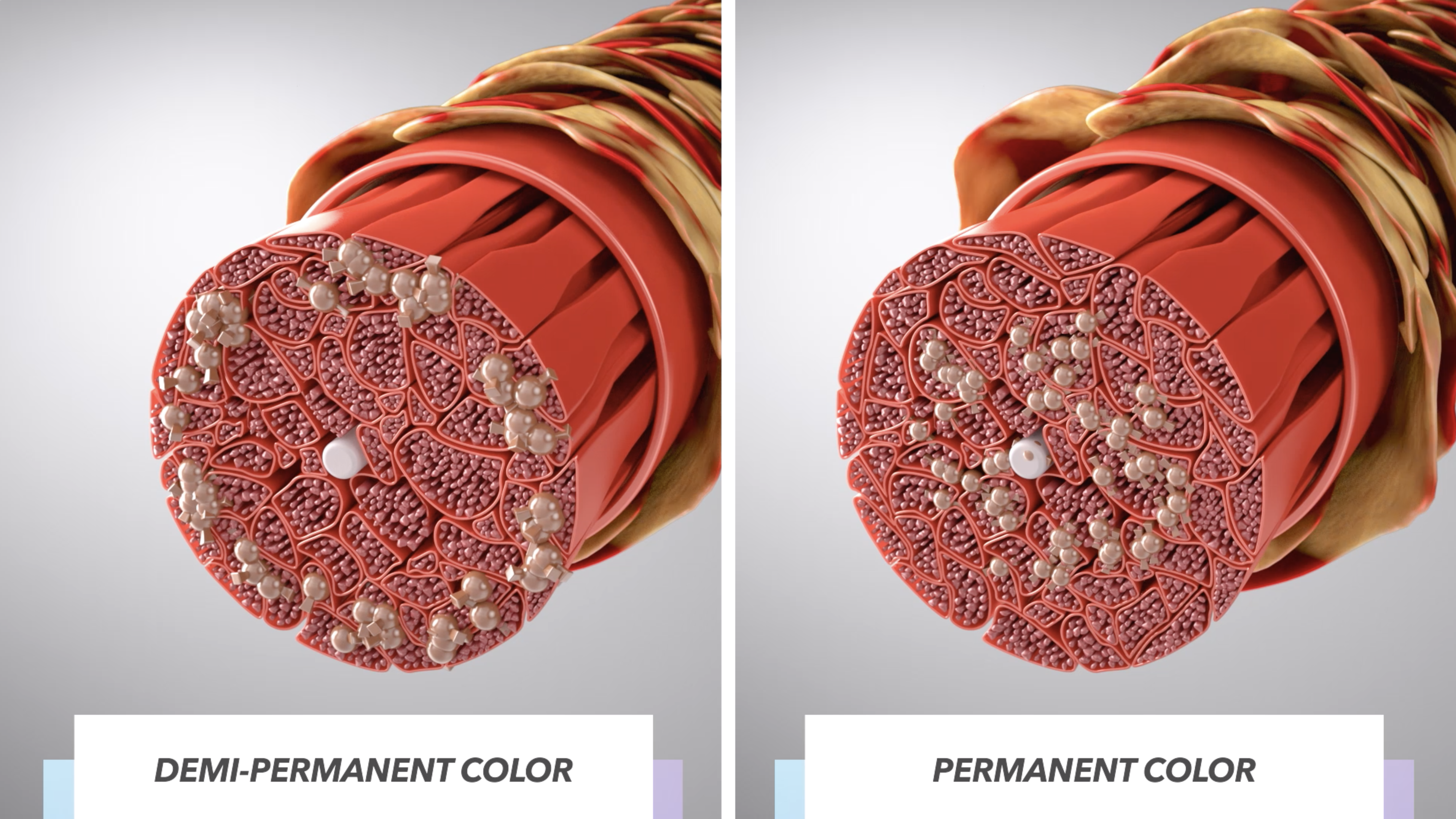 Education Technology Visualisations 1