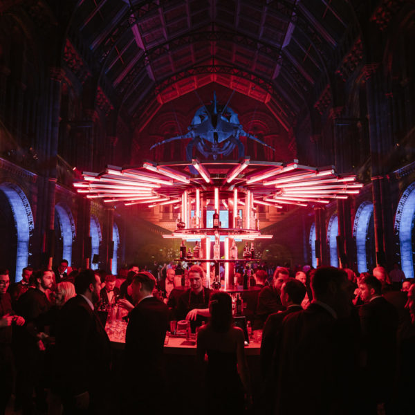 BF Night at the Museum 6