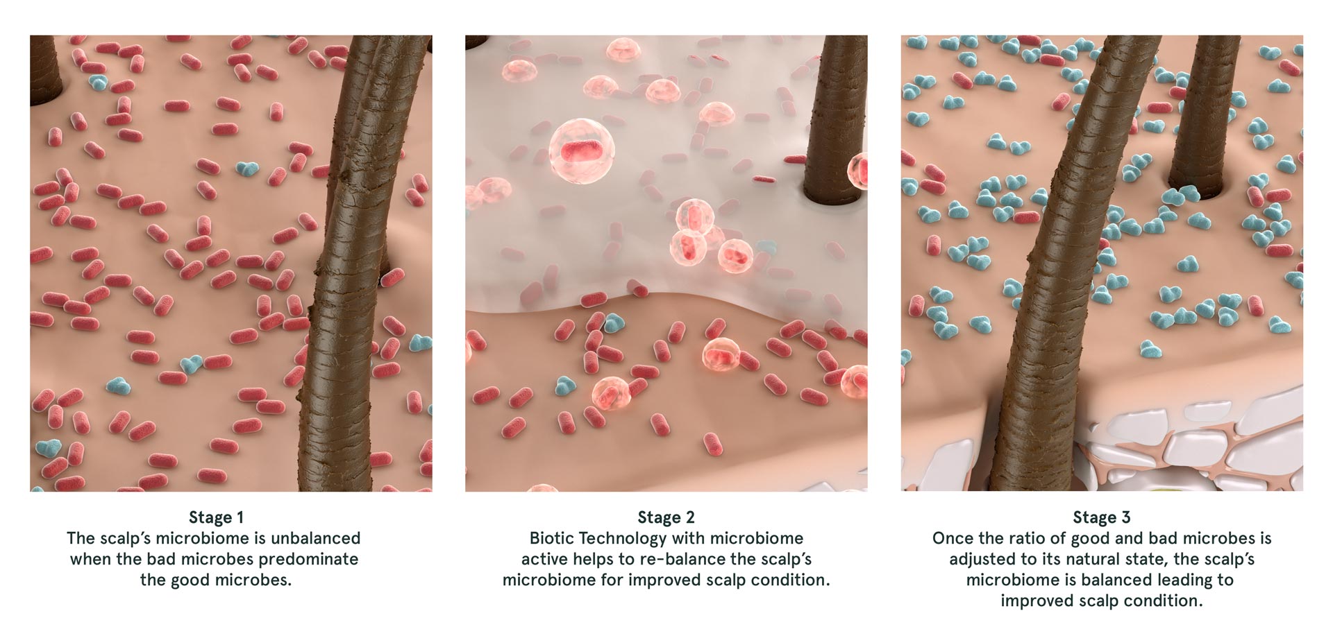 Scalp Clinix Overview